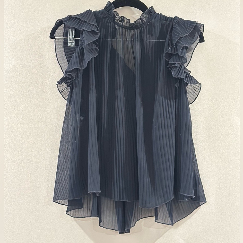 Anthropologie Sheer Black Ruffle Blouse